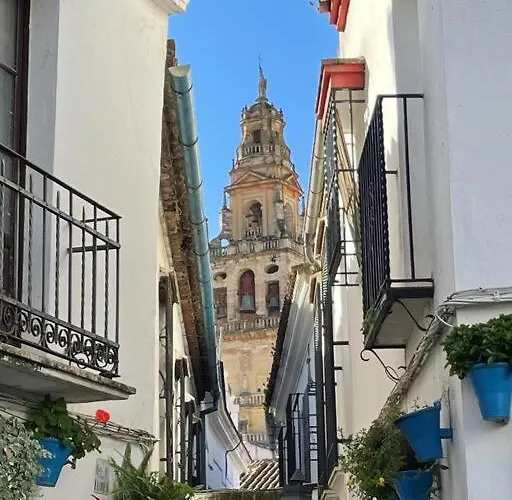 Geysotur El Templo *